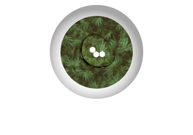 logo_cbdforest